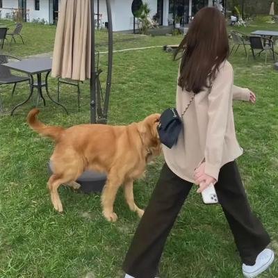 周末魇狂热